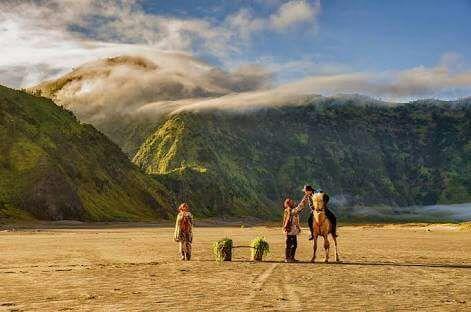 Sedulur Homestay Bromo Zewnętrze zdjęcie