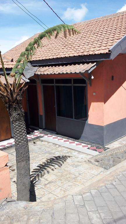 Sedulur Homestay Bromo Zewnętrze zdjęcie